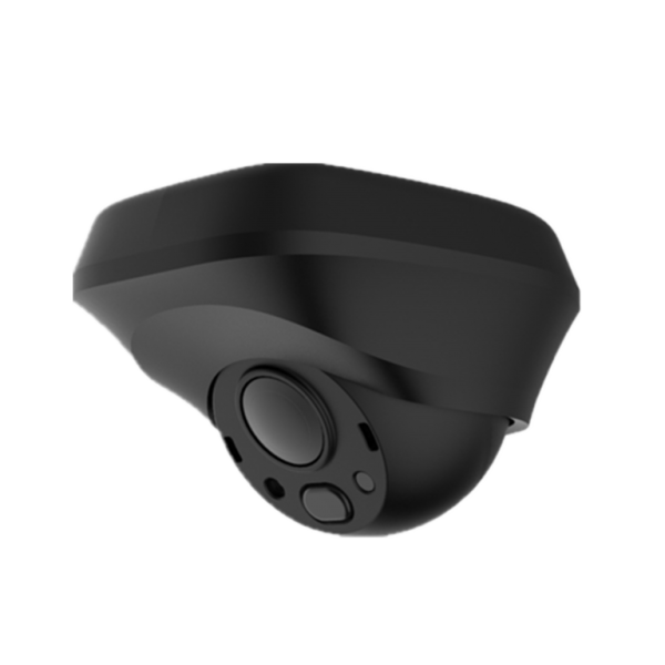 2.0MP 2.1mm IR Eyeball HDCVI+Analog Kamera - Sesli