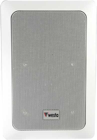 16cm 5-10 Watt 2 YOLLU Dikdörtgen Tavan Hoparlör